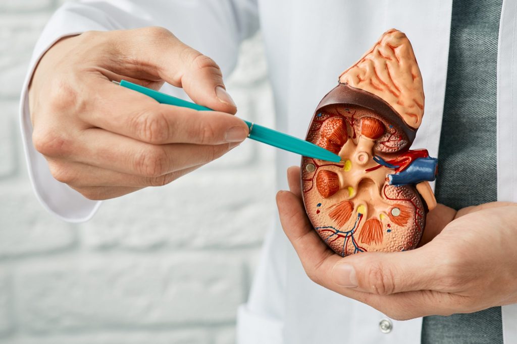 Urological Cancer