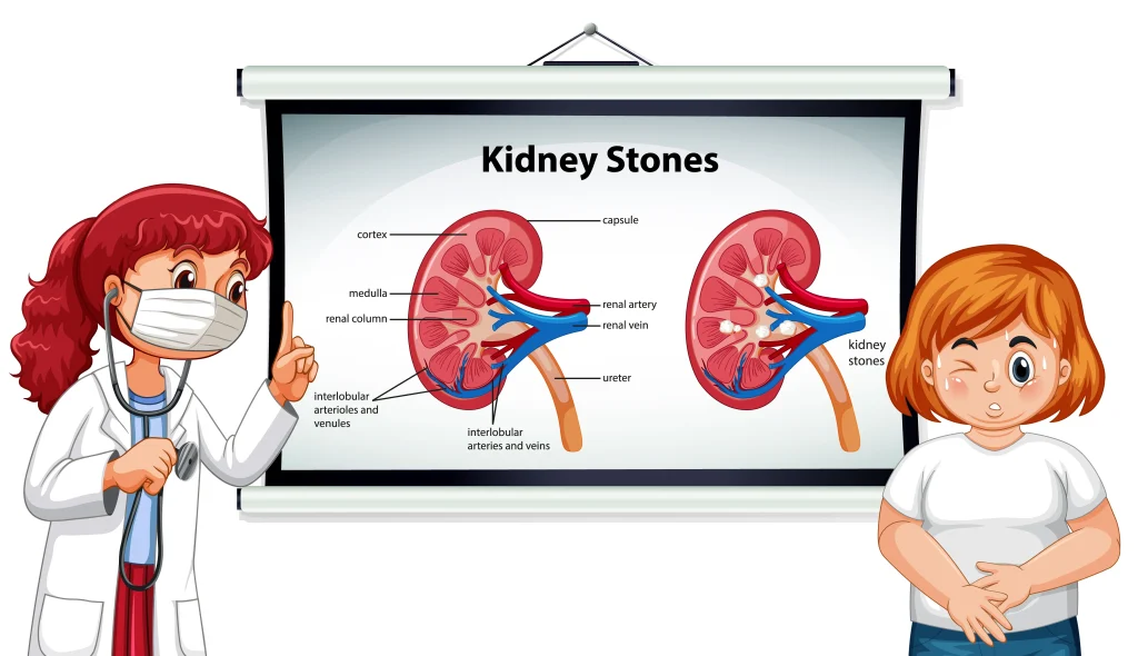 Best Uro Oncologist in Medinipur, Kidney Cysts Explained