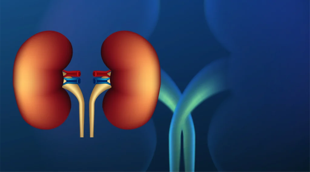 Best Uro Oncologist in Medinipur, Blood in Urine (Haematuria)
